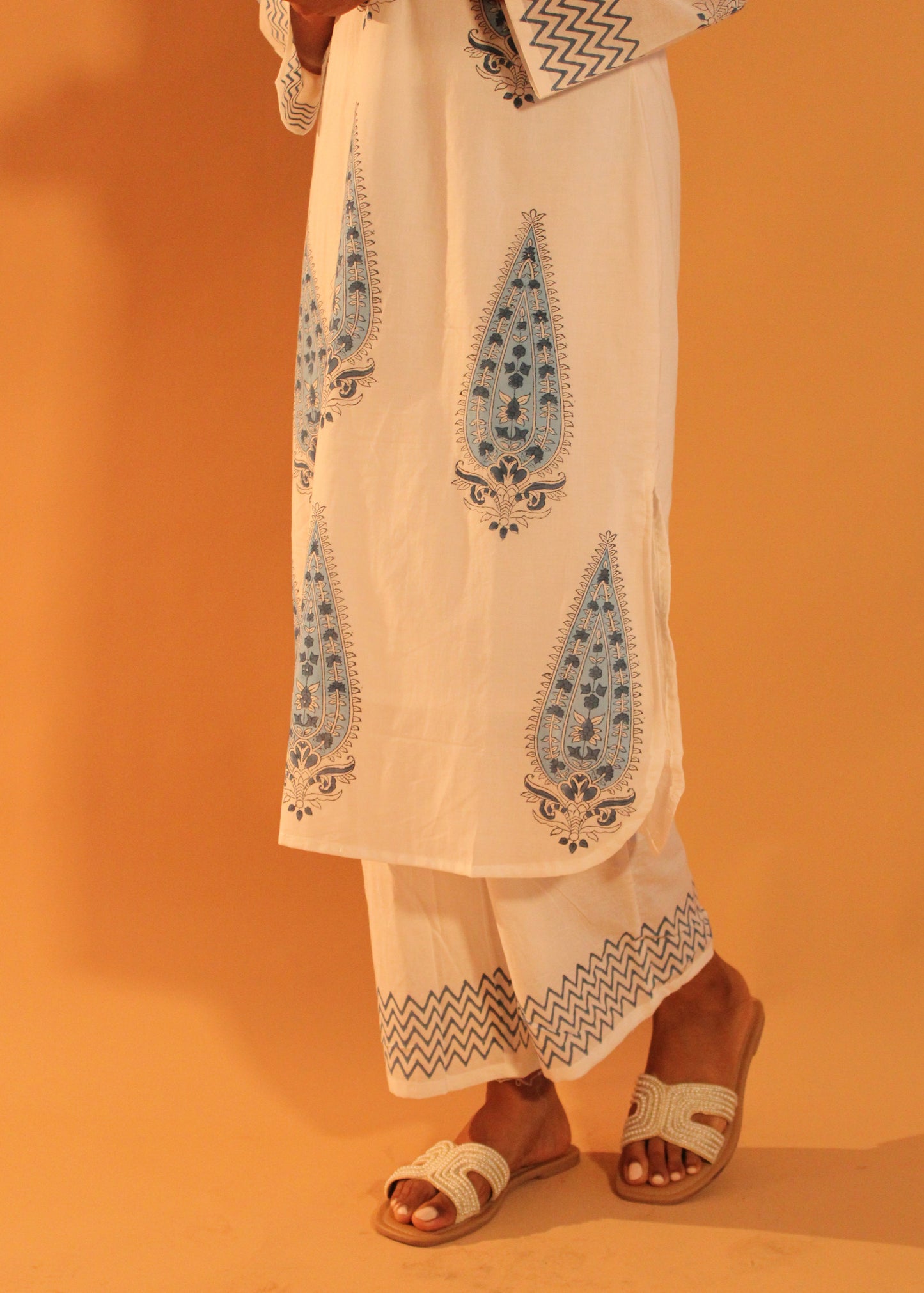 Blue-White Printed Coord