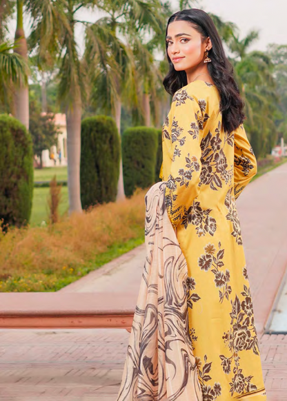 Mustard Embroidered Salwar
