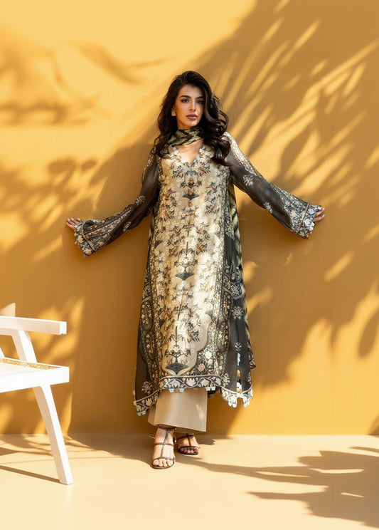 Ivory Dusk Salwar Set