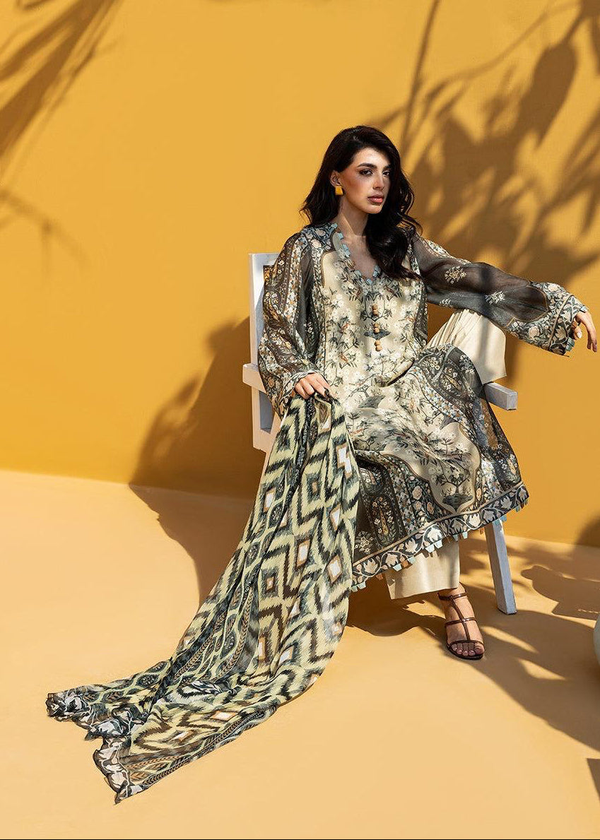 Ivory Dusk Salwar Set