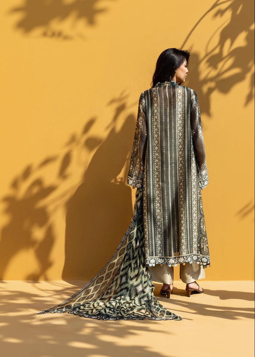 Ivory Dusk Salwar Set
