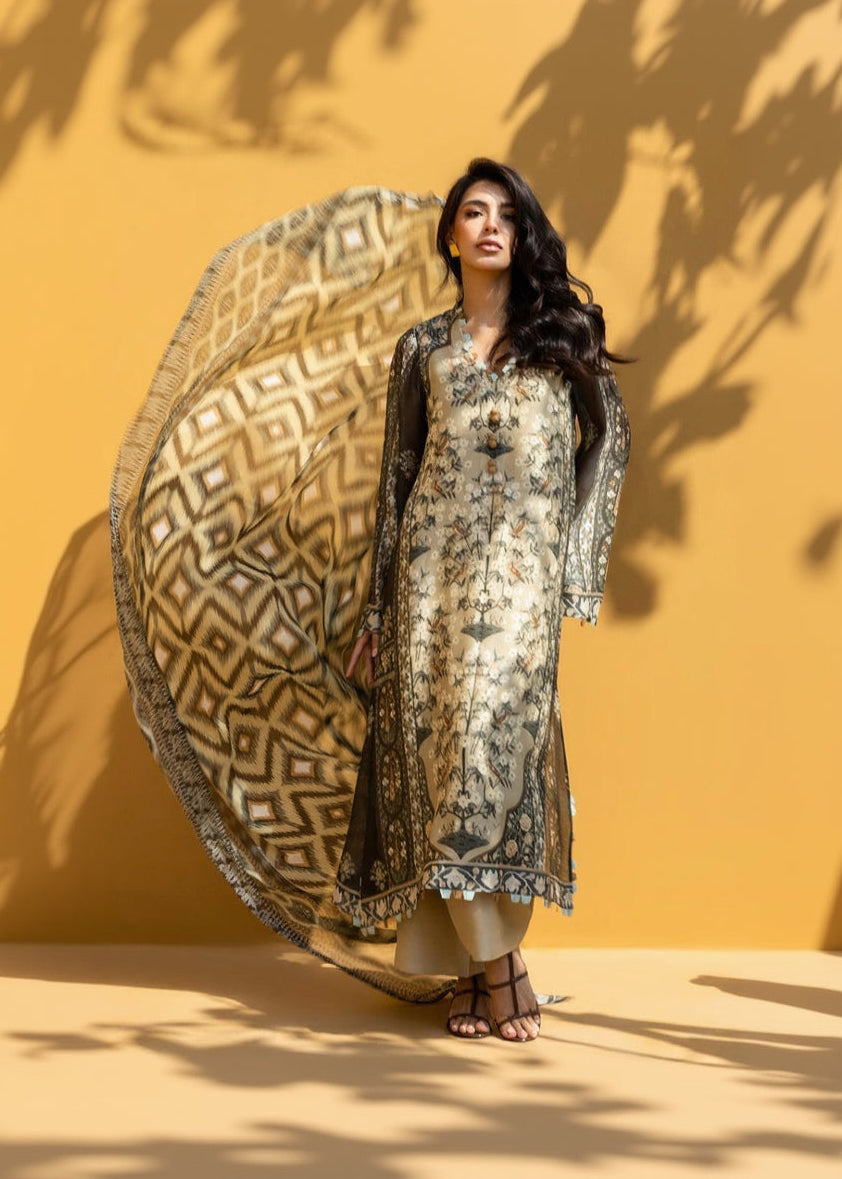 Ivory Dusk Salwar Set